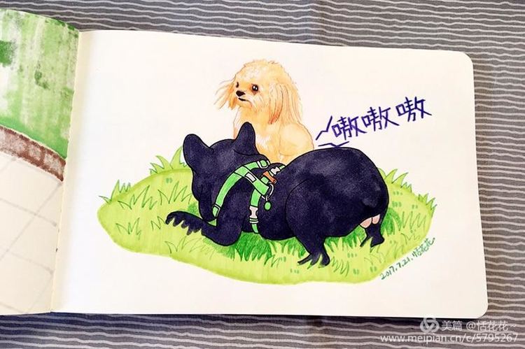 灏忕嫍ins椋庣畝鍗曞張濂界湅缁樼敾,钀屽疇鐙楃嫍缁樼敾浣滃搧