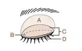 楚乔传中赵丽颖口红的颜色,楚乔传赵丽颖四种口红