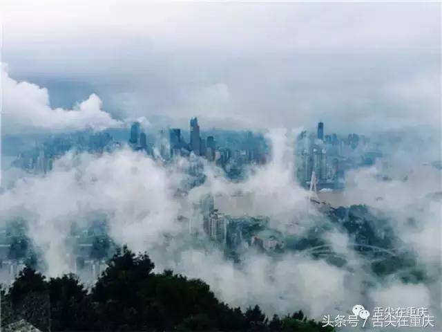 重庆关键词搜索头条,重庆关键词是什么