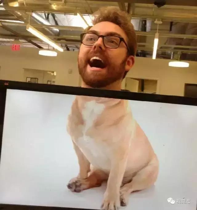 你们有遇到过这样的同事吗,你们有遇到这样的同事吗