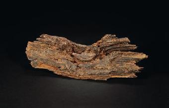 云南可以做手串的植物,山东有什么适合做手串的植物