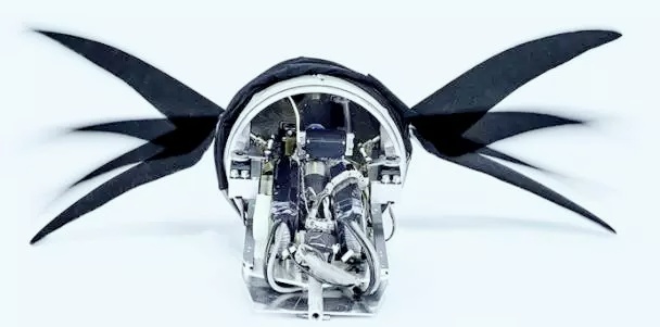 神的触手被做了出来，可以轻松吸住柱状体！