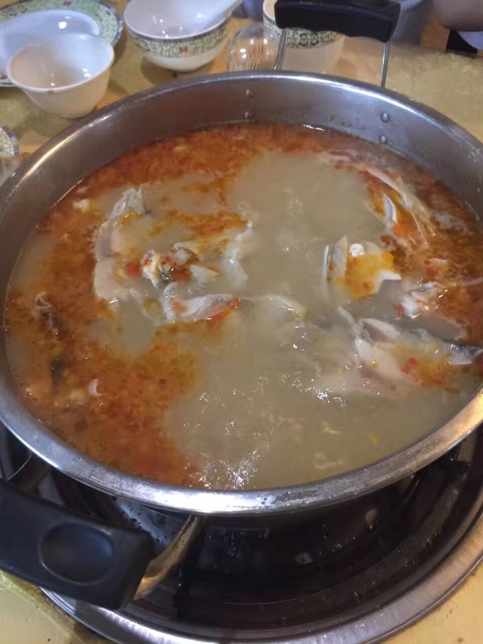 广州长隆动物园亲子游攻略三日游,珠海长隆海洋快速通道亲子游攻略