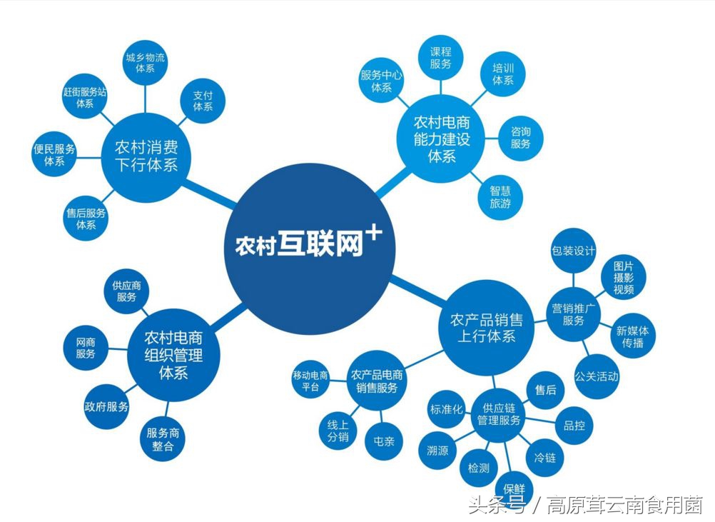 农村赚钱点子,农村致富新点子