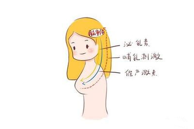 怀孕时泌乳素高影响垂体瘤吗,泌乳素高一定是垂体瘤引起的吗