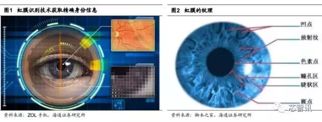 生物识别技术与数据挖掘,生物虹膜识别产业链