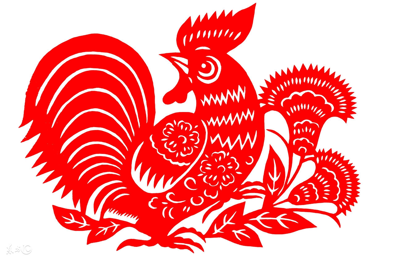 93年属鸡同69年属鸡做生意如何,属鸡人的后半生特别是69年