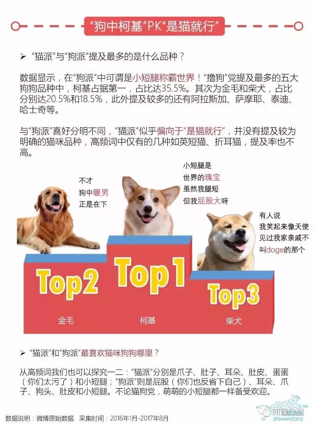 铲屎官大揭秘！你是“猫派”还是“狗派”？