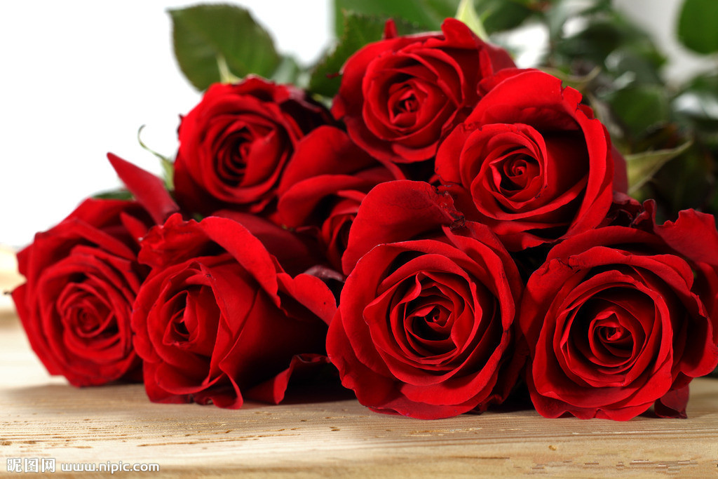 情人节送一朵玫瑰花是什么花语,情人节白玫瑰花语