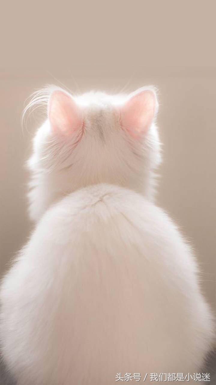 回到过去合集一口气看完,回到过去一口气看完