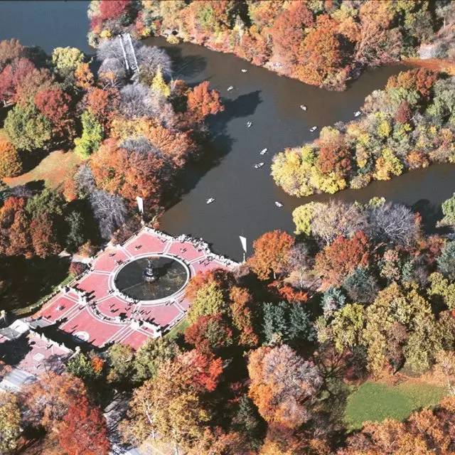 枫叶旅游拍照技巧,春季赏枫叶拍照技巧