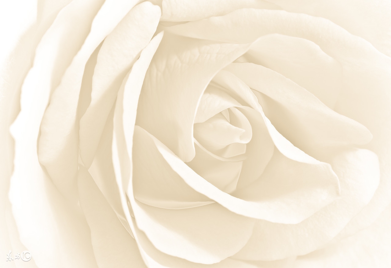 七夕，食色心也！