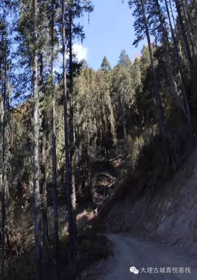 他花了四年时间，寻觅心中的香格里拉