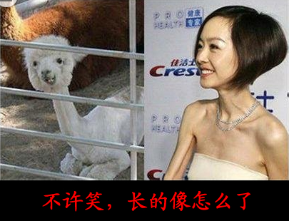 内涵段子，搞笑笑话：不许笑，长的像怎么了