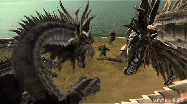 哮天犬是哪个品种的狗,天狗食月哮天犬是什么品种