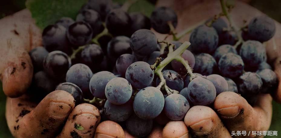 让拉伯克来告诉你，德州的无敌魅力！