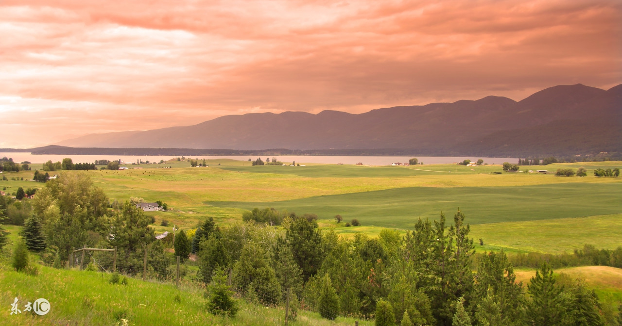 失恋很难受怎么办知乎,失恋很难受的视频