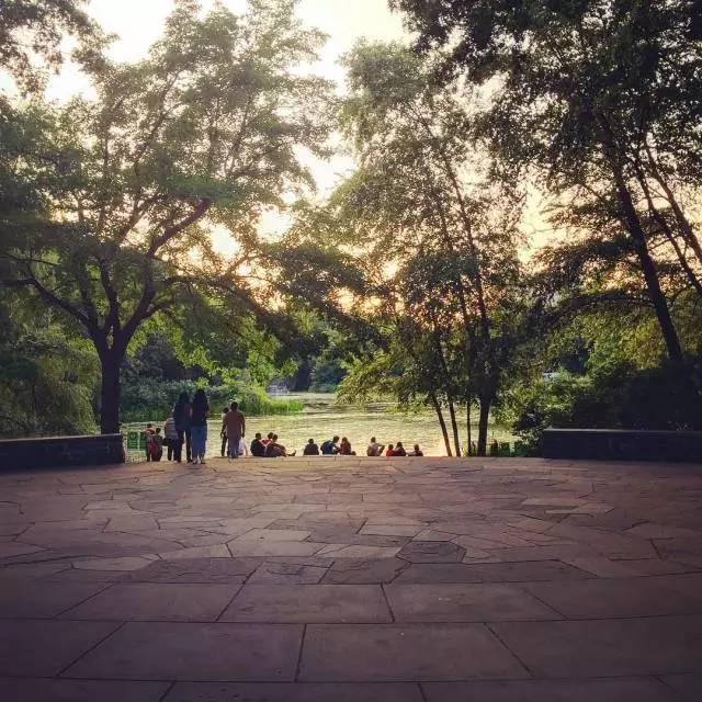 枫叶旅游拍照技巧,春季赏枫叶拍照技巧