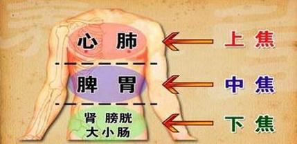 女性有这十大特征，最有可能长命百岁！