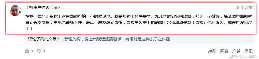 臭虫怎么彻底根治的,1000种对付蚊子的方法