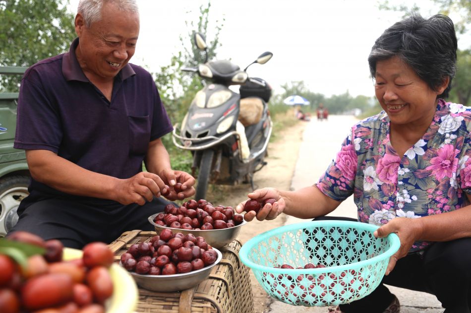 适合在湖南种植的枣子品种有哪些,我国枣树最多的地方