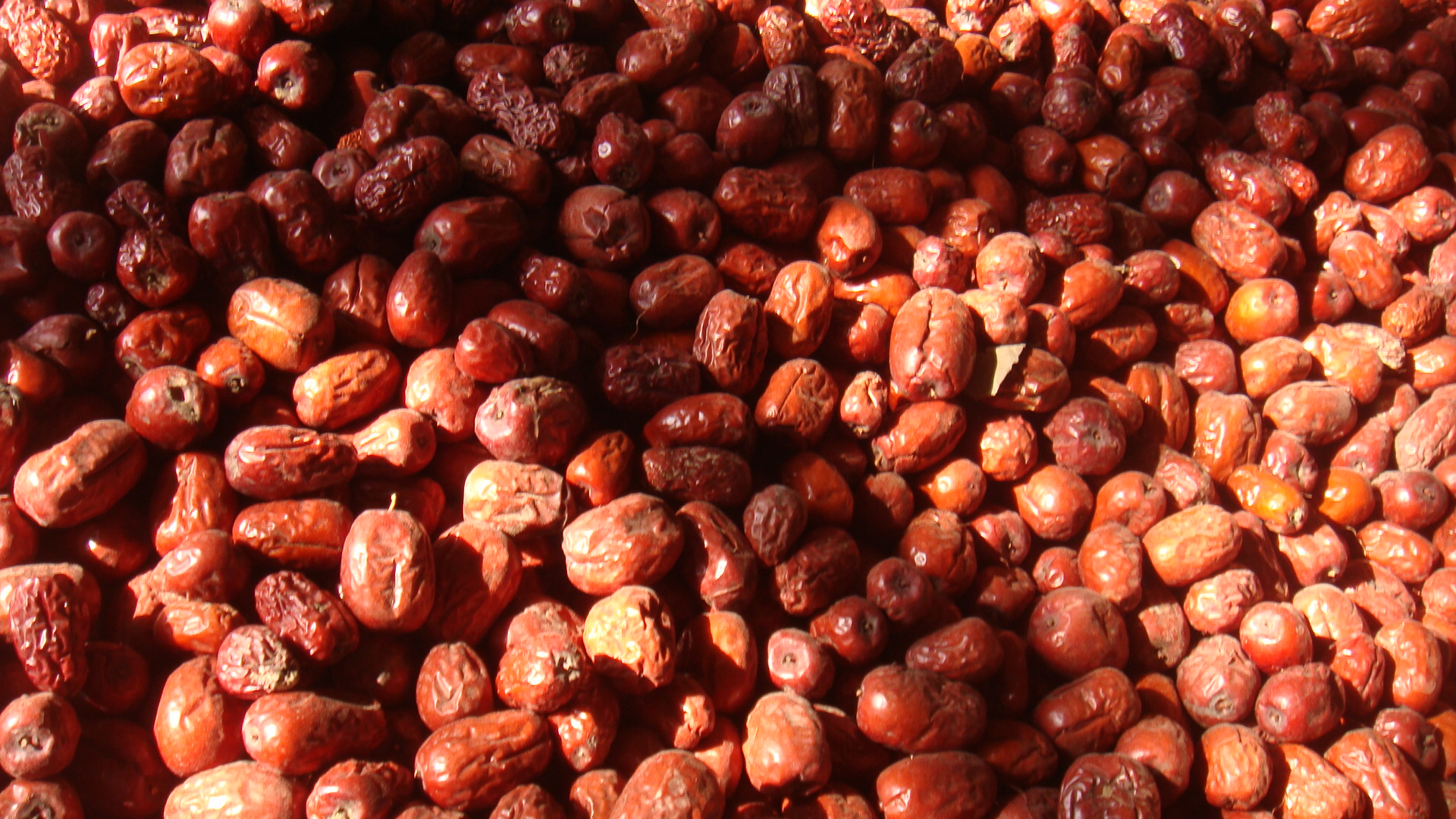 适合在湖南种植的枣子品种有哪些,我国枣树最多的地方