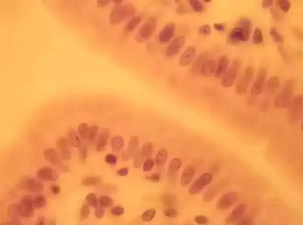 在宇宙的年历中，我们的存在连半秒钟都不到！