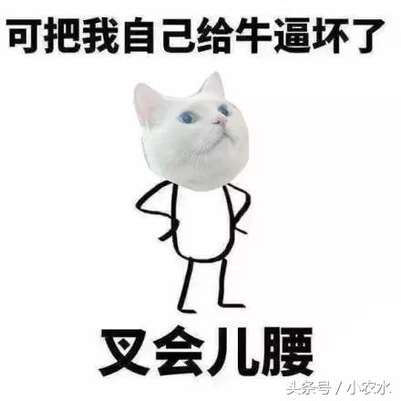 提高工作效率电脑快捷键,如何使用快捷键提高工作效率