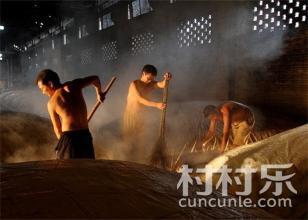 舌尖上的发现—豫北小米黄酒