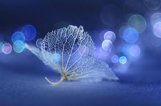 相机日常拍照用什么对焦点,相机拍照时如何保持对焦