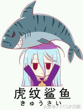 ACG趣谈：有些二次元黑话你以为大家都懂，结果并不是……尬聊