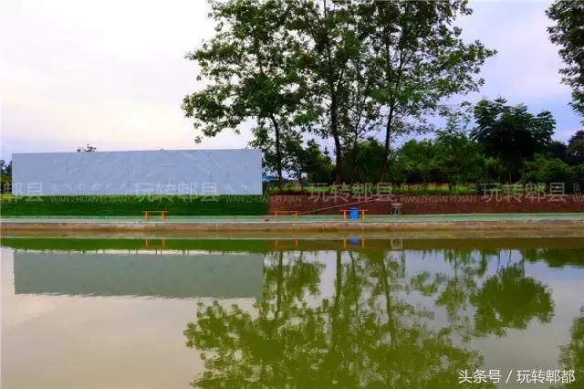 吃遍重庆50家鱼摆摆,吃遍成都50家鱼摆摆