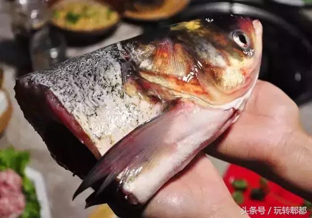 吃遍重庆50家鱼摆摆,吃遍成都50家鱼摆摆