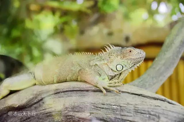 三亚最值得小朋友去的地方,三亚美景小孩最喜欢玩的地方