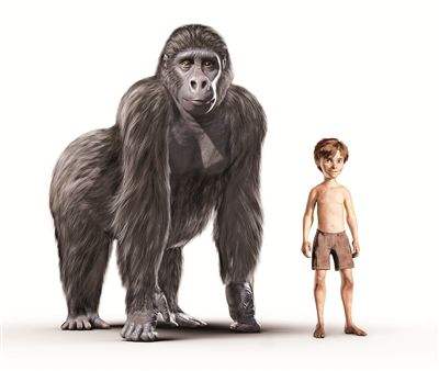 生物进化史人类还会进化吗,生物进化论三大未解之谜