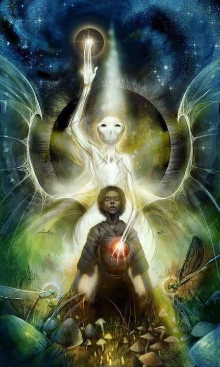 生物进化史人类还会进化吗,生物进化论三大未解之谜