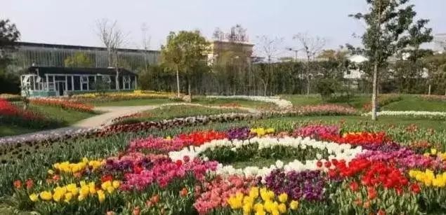 宁波罗蒙必去景点,宁波罗蒙环球乐园门票秒杀价