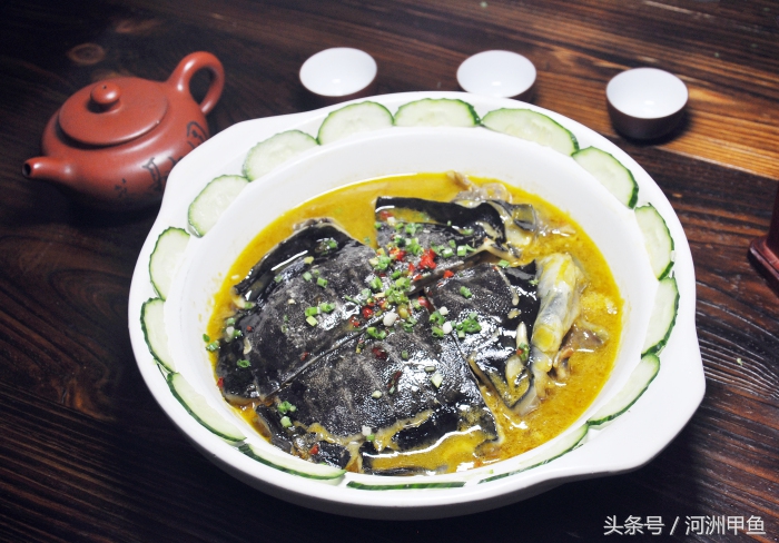 甲鱼的苦胆可以和甲鱼一起炖吗,红烧甲鱼和甲鱼汤哪个更有营养