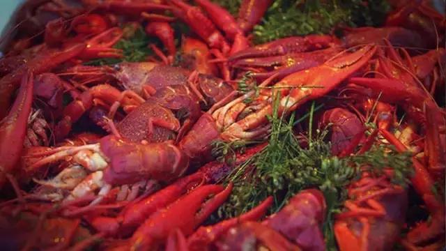 小龙虾的种类及吃法,小龙虾的100种神仙吃法图片