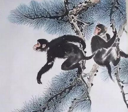 属猴人遇马羊猴鸡狗猪年运程,生肖马羊狗鸡猪猴下半年的运势