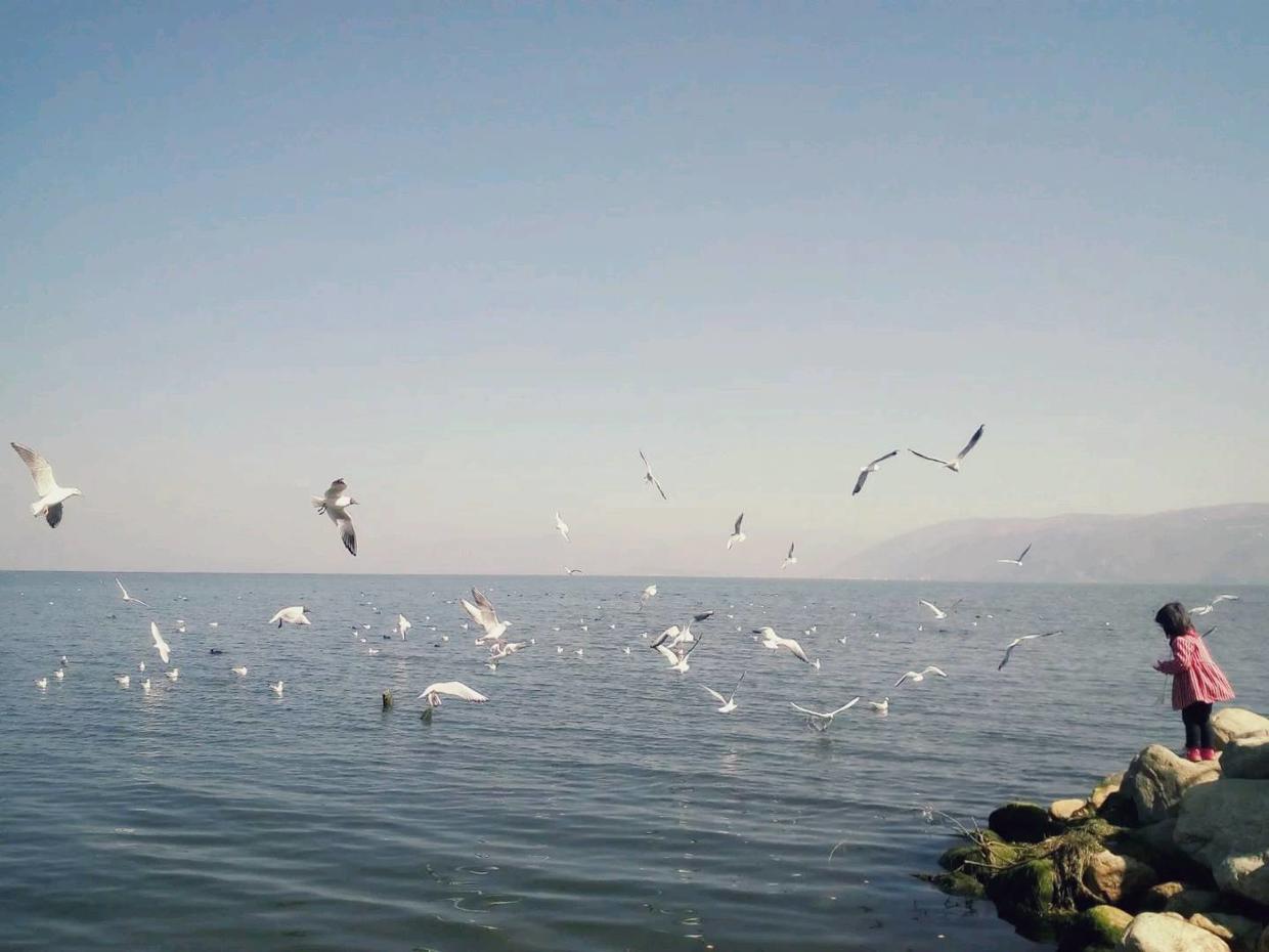 爱作的男人,爱作的男人脾气形成