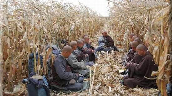 最清净的寺院,不可错过的人间净土寺庙