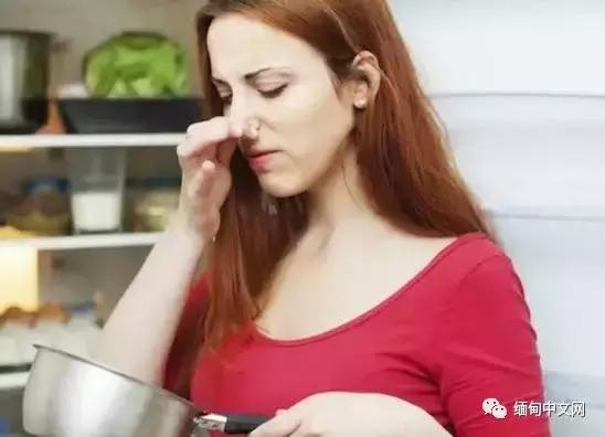 云南洋葱近几年价格走势,日本洋葱价格暴涨