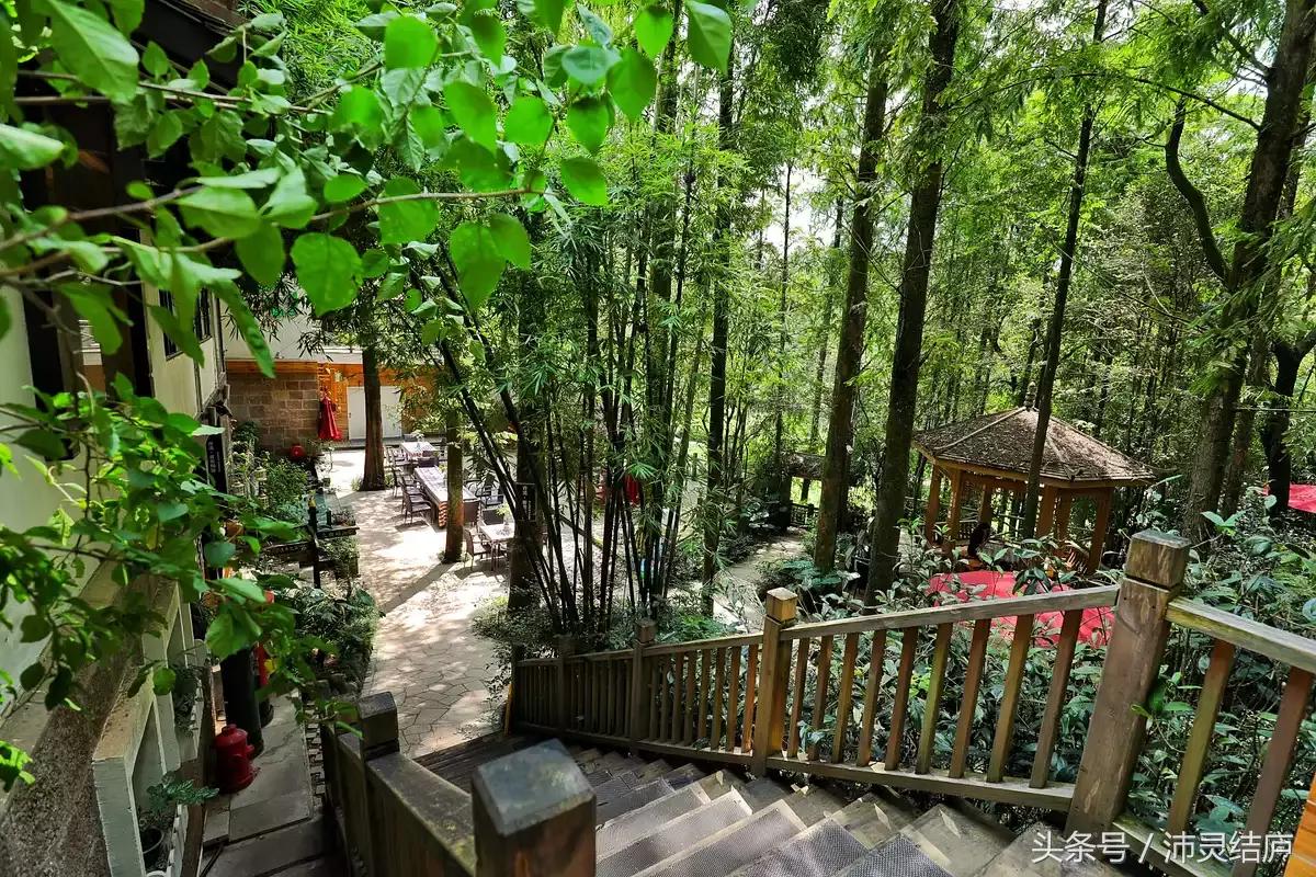 如果你只有一天的时间去乐山,如果你只有两天时间游南京