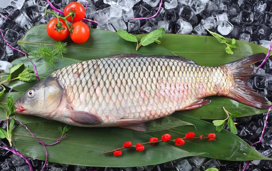 青鱼和草鱼长得比较相像,大头鱼跟白鲢鱼区别图片