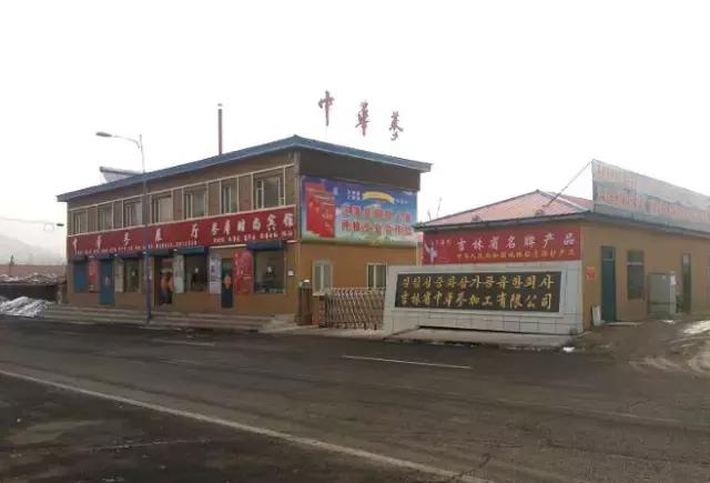 回顾2017第三届图们江国际旅游食运会精彩瞬间！延边最受欢迎特产花落谁家？