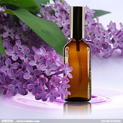 教你认识美妙的罗勒精油,精油的100种打开方式