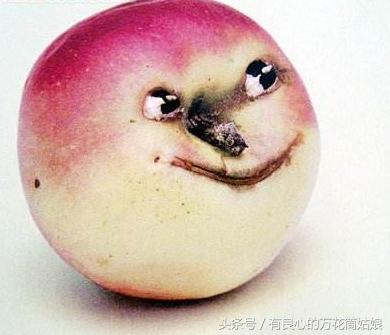 摸活鳄鱼影响人赌博意愿？科学告诉你答案