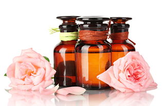 教你认识美妙的罗勒精油,精油的100种打开方式