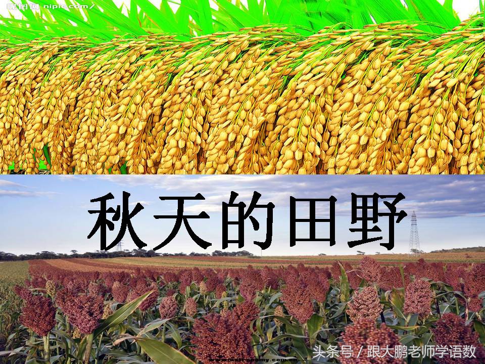 一年级上册课文秋天的练习题,语文部编版一年级上册第一课秋天